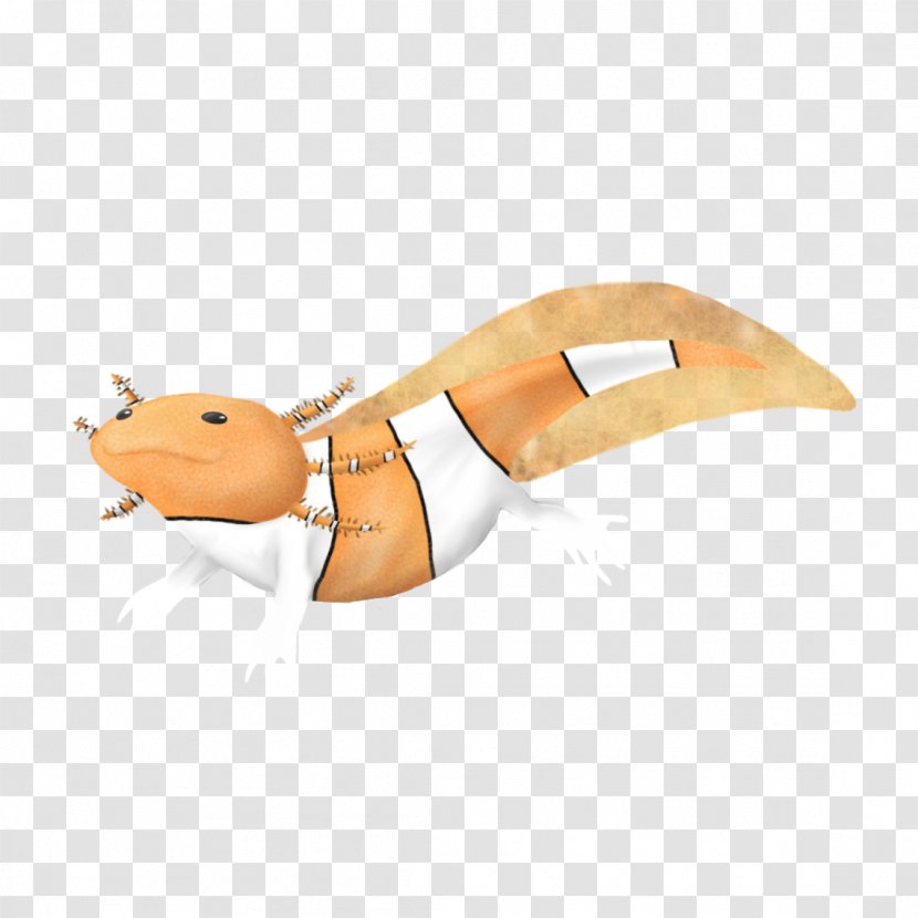 Angle Animal - Design Transparent PNG