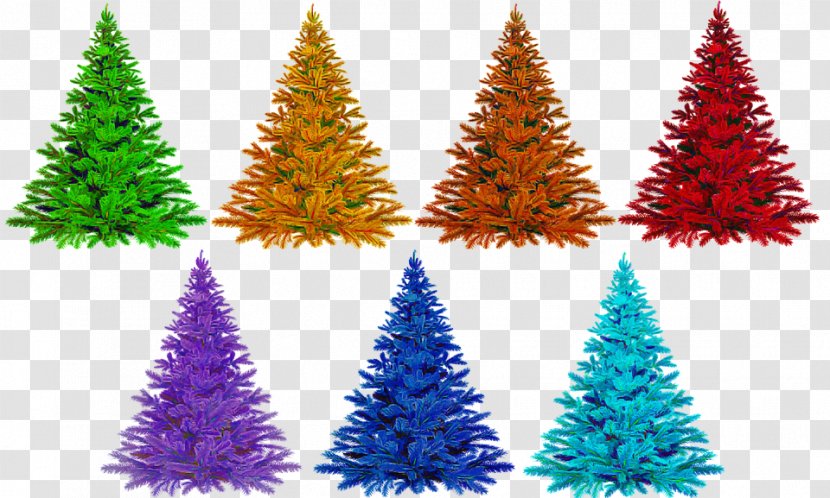 Christmas Tree - Biome - Pine American Larch Transparent PNG