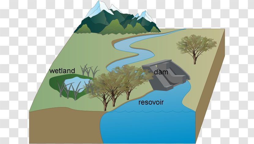 Water Resources Dam Reservoir Wetland - Glen Canyon Transparent PNG