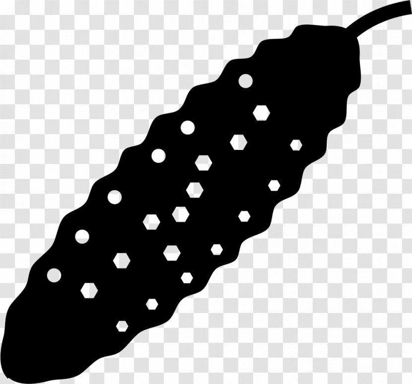 Cucumbers Silhouette - Vegetable - Polka Dot Transparent PNG