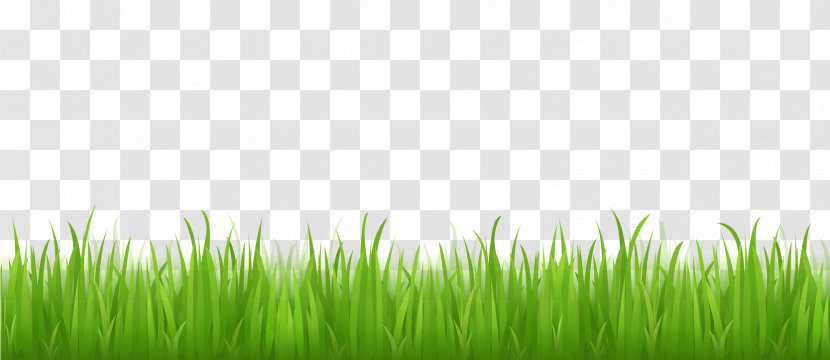 Lawn Desktop Wallpaper Clip Art - Grass Transparent PNG
