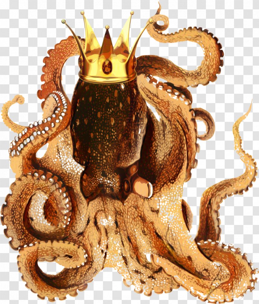 Octopus Cartoon - Giant Pacific - Mythology Animal Figure Transparent PNG