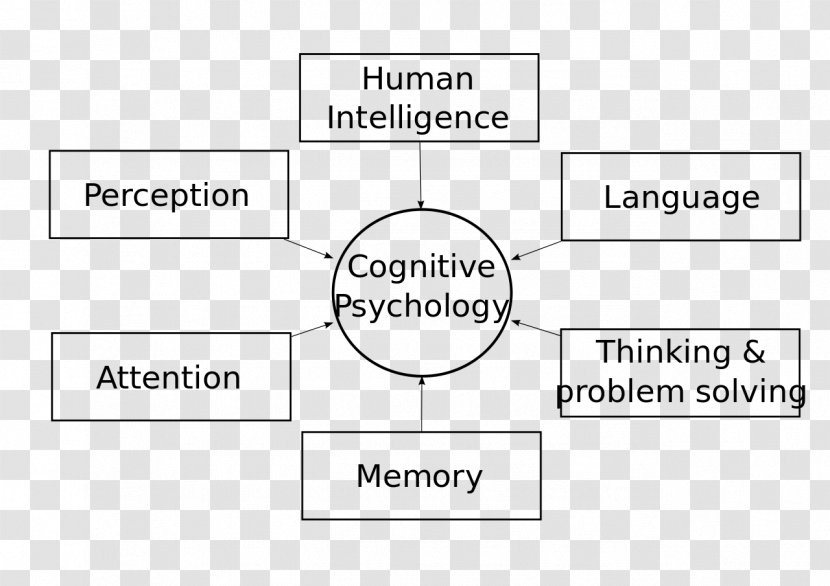 Cognitive Psychology Cognition Mental Process Perception Transparent PNG