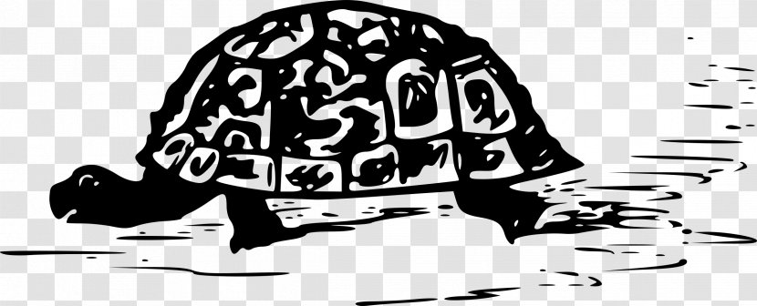 Sea Turtle Tortoise Reptile Clip Art - Organism Transparent PNG