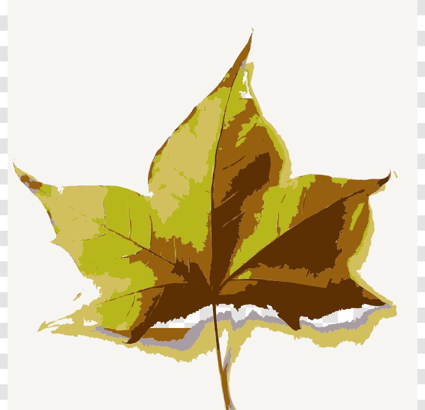 Clip Art - Maple Leaf - Outlines Of People Transparent PNG