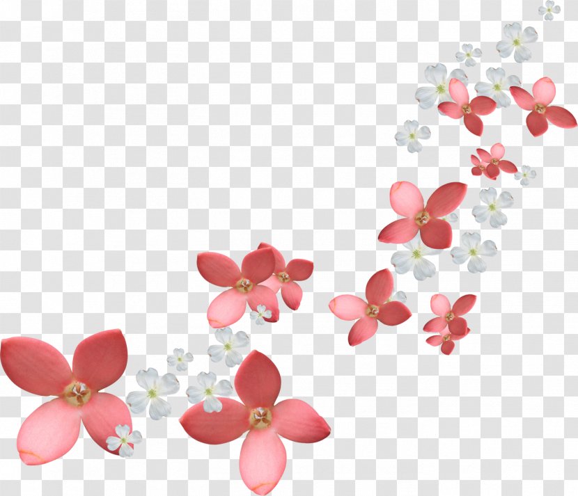 Rose Flower Clip Art Image - Flowering Plant Transparent PNG
