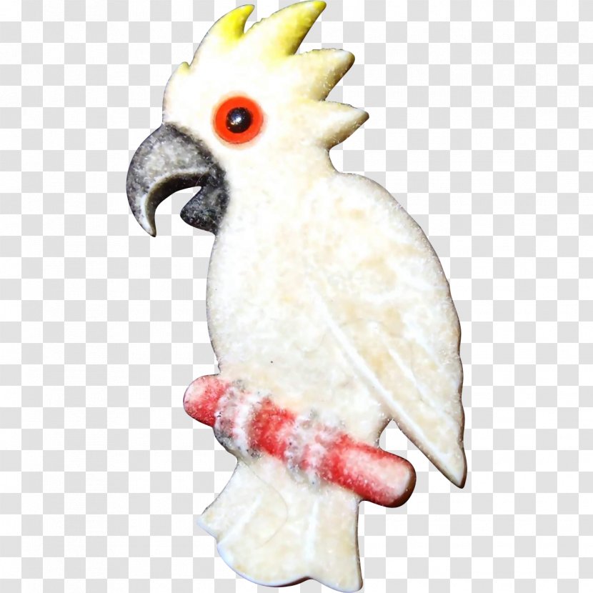 Cockatiel Bird Sulphur-crested Cockatoo Pet Transparent PNG