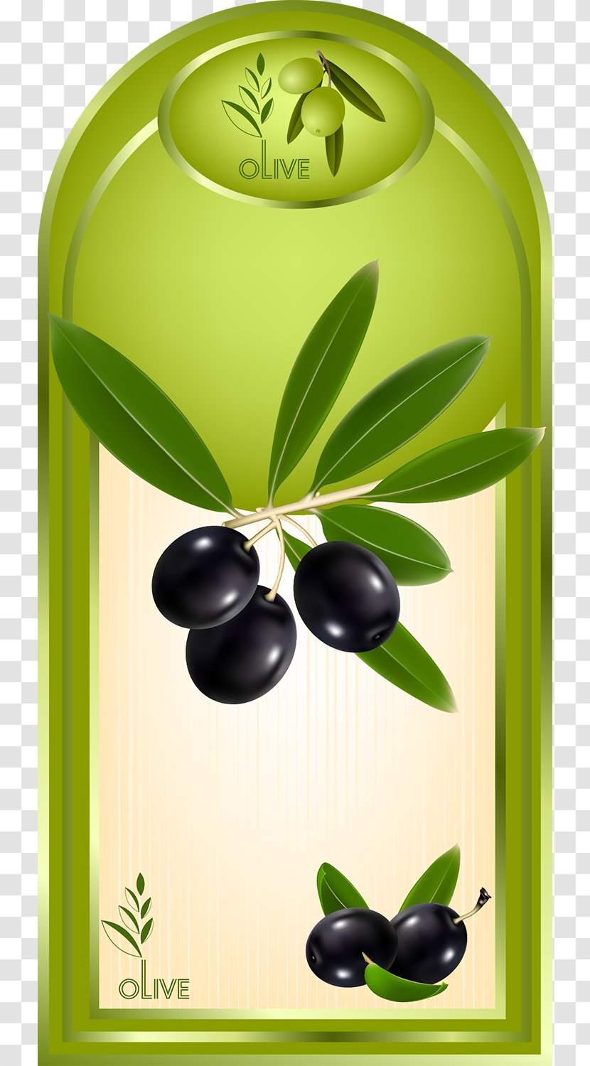 Olive Oil Label - Olives Transparent PNG