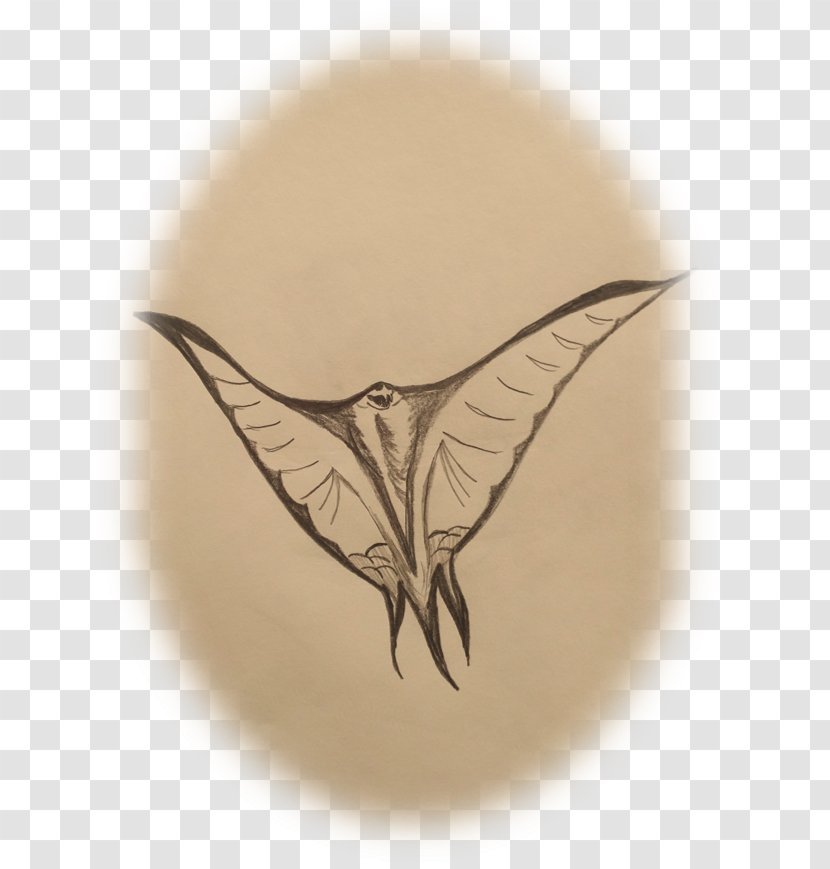 Drawing /m/02csf Leaf - Moths And Butterflies Transparent PNG