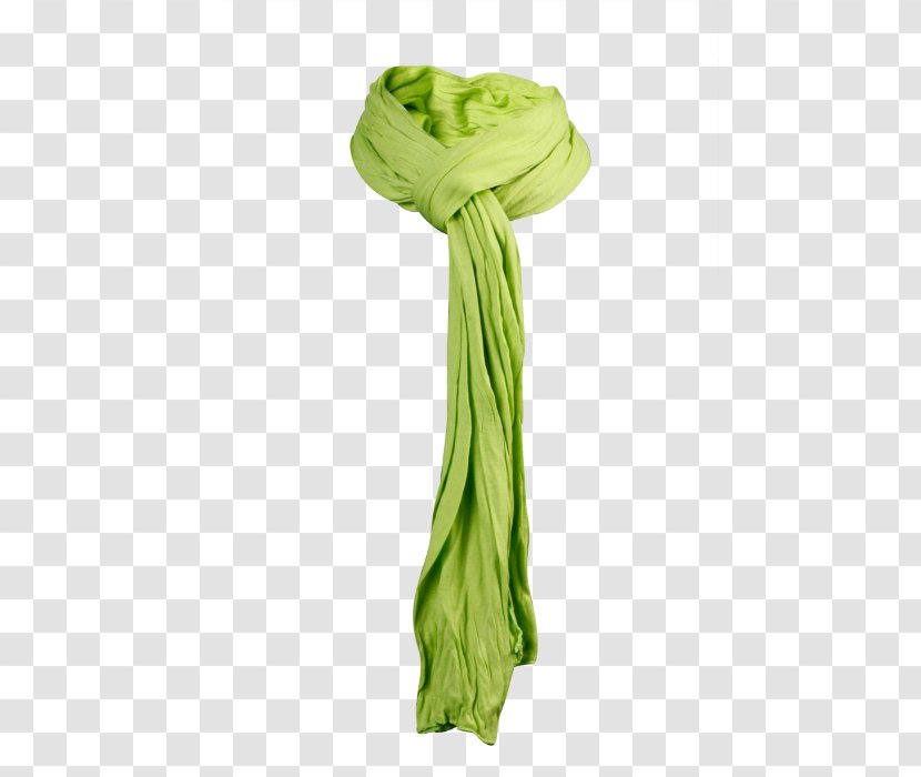 Scarf Silk Green Stole Transparent PNG