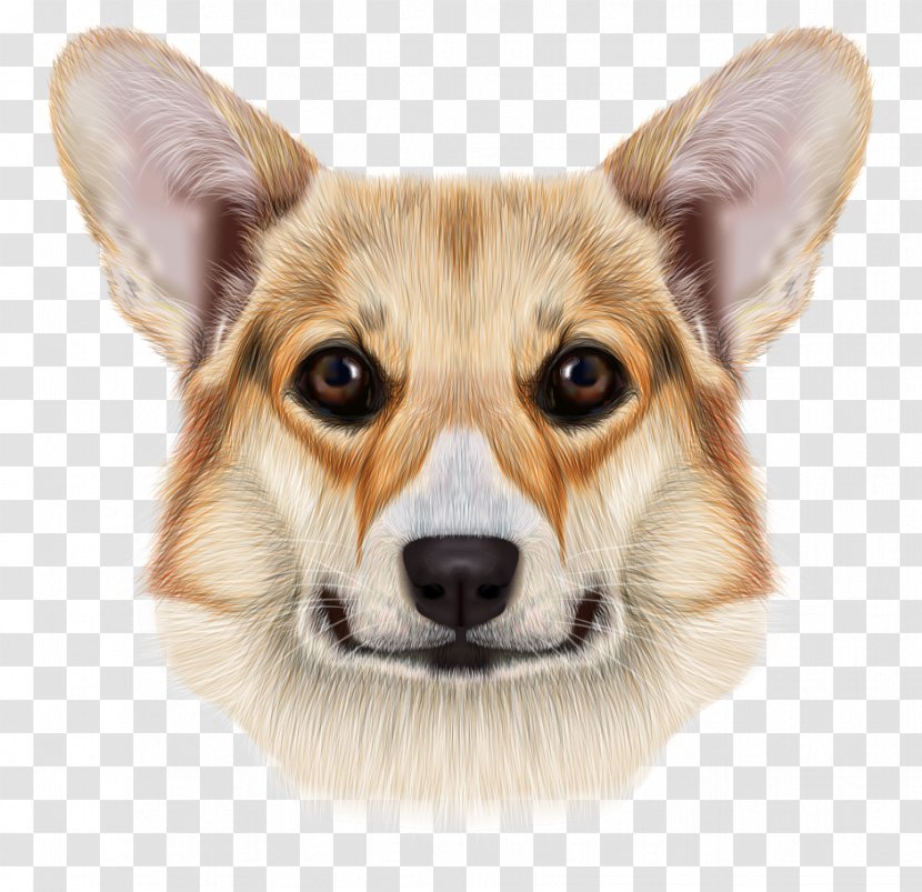 Pembroke Welsh Corgi Cardigan Pug Pomeranian - Dog Like Mammal - Exquisite Hand-painted Realistic Cartoon Dog's Head Transparent PNG