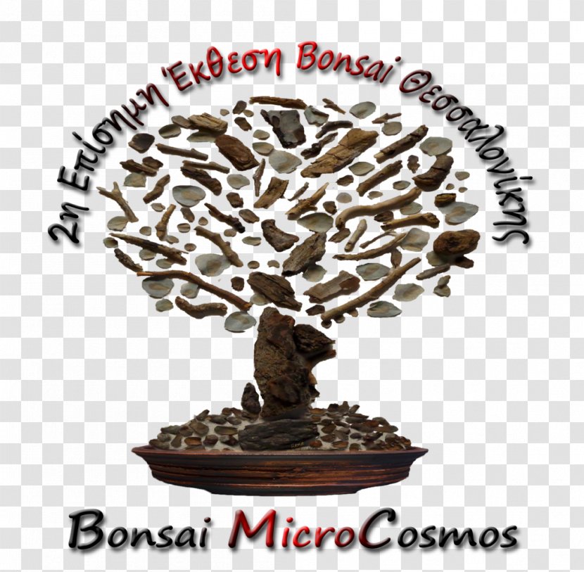 Bonsai Photography Tree Technology Blog - Houseplant Transparent PNG