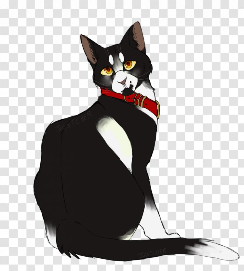 Whiskers Black Cat Domestic Short-haired Warriors - Tail Transparent PNG