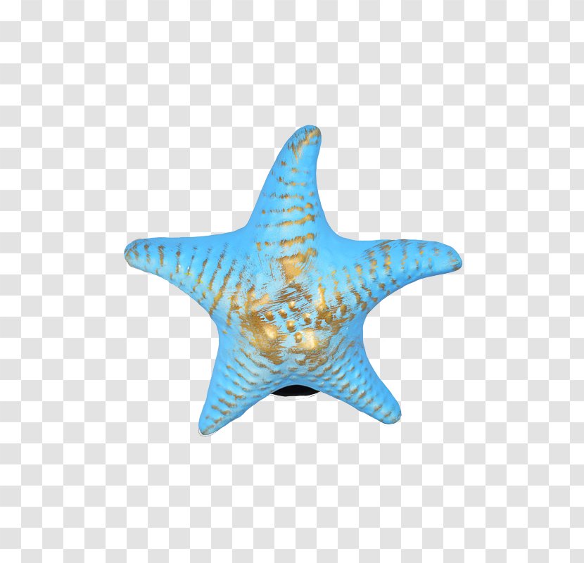 Fallout: New Vegas Fallout 3 Fort Wayne Video Game - Invertebrate - Estrela Do Mar Transparent PNG