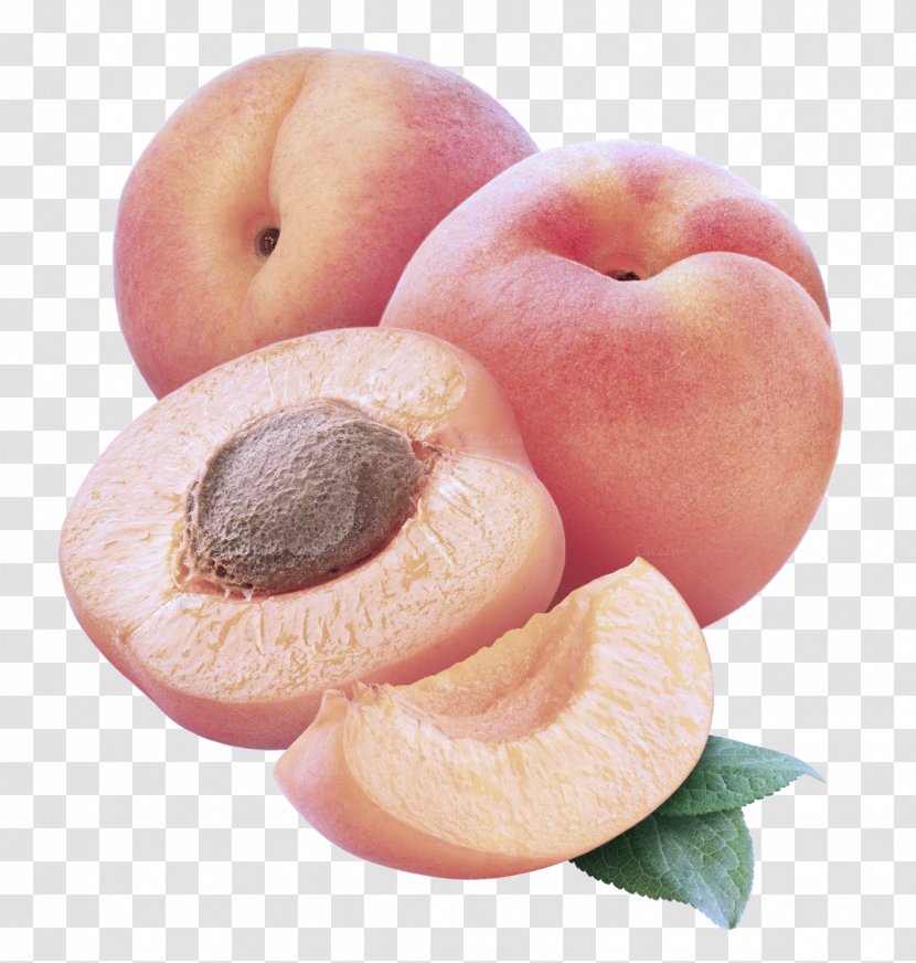European Plum Food Fruit Plant Peach - Drupe Apricot Transparent PNG