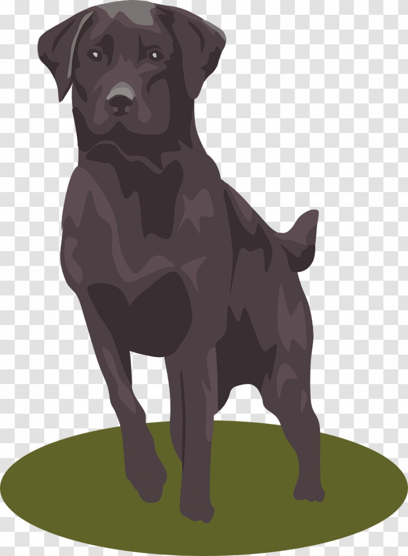 Labrador Retriever Puppy Clip Art - Patterdale Terrier - Black Dog Transparent PNG