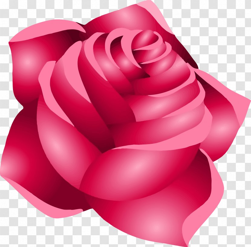 Drawing Clip Art - Rose Family - Page Transparent PNG