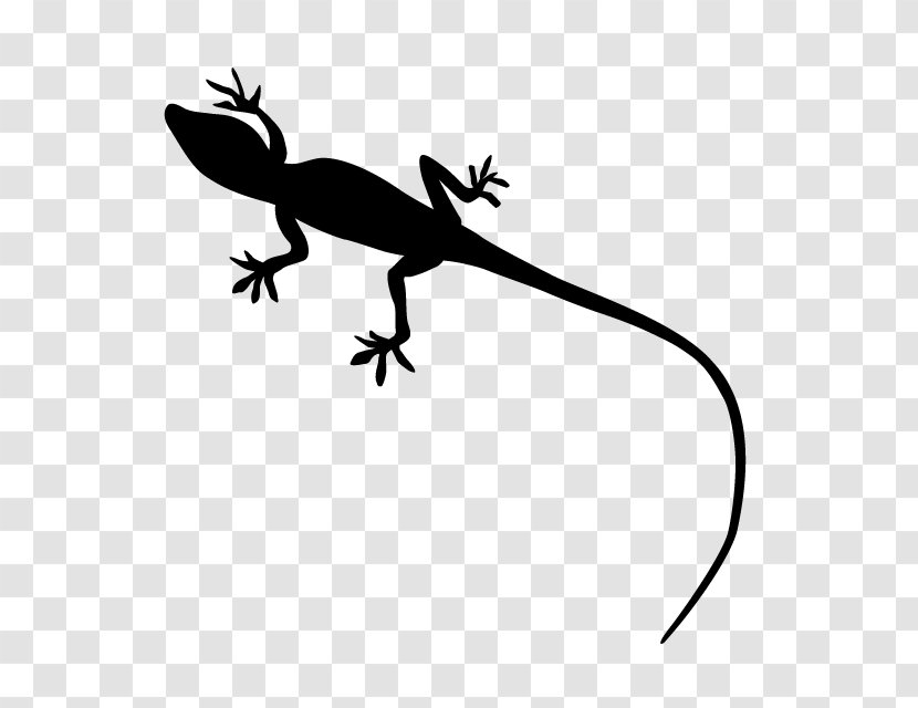 Gecko Lizard Reptile Silhouette - Fauna Transparent PNG