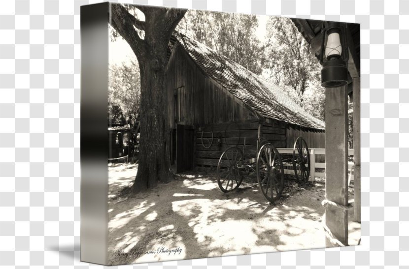 Tree - Hut - Monochrome Photography Transparent PNG
