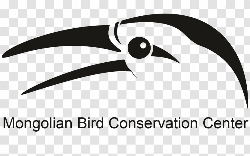 Bird Conservation Beak Relict Gull - Brand - Mongolian Grassland Transparent PNG