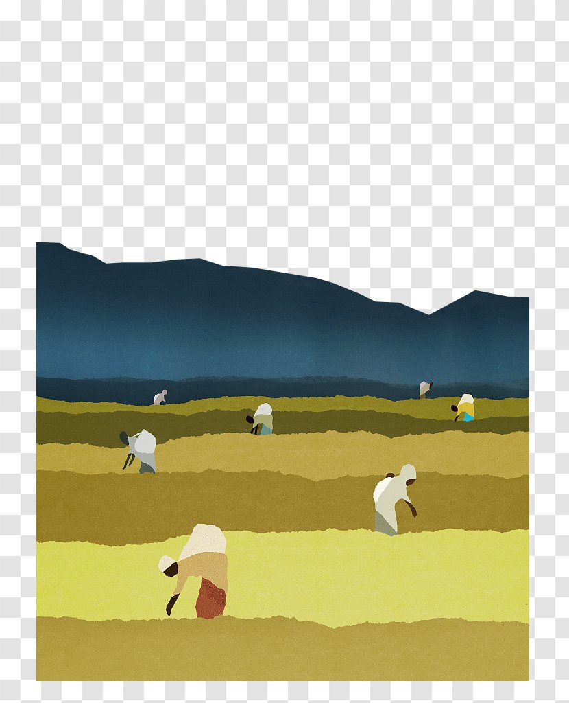 Agricultural Land Illustration - Agriculture - Oil Painting, Wind Illustration, Farm Planting Transparent PNG