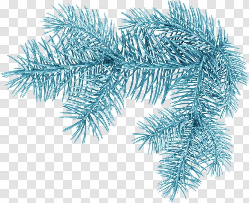 Christmas Tree Branch Clip Art - Palm - Winter Transparent PNG