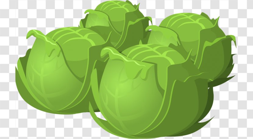Red Cabbage Brussels Sprout Vegetable Clip Art - Fascinating Cliparts Transparent PNG