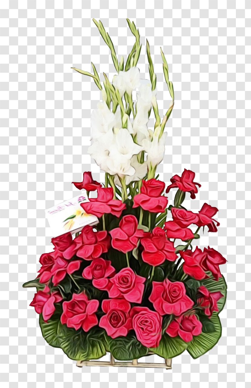 Floral Design - Anthurium - Petal Transparent PNG