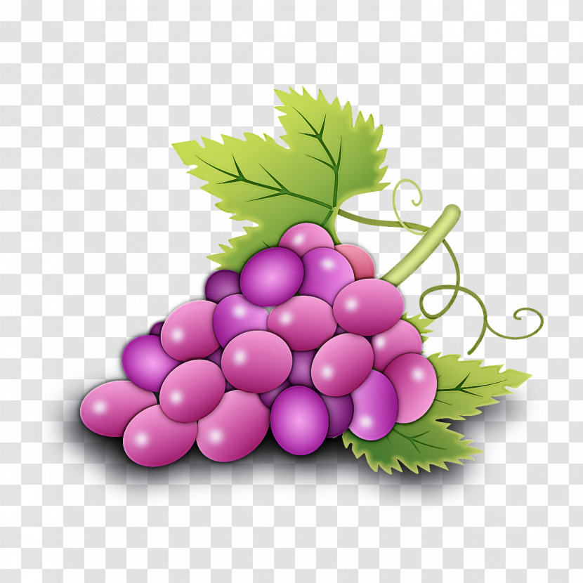 Grape Seedless Fruit Grapevine Family Fruit Plant Transparent PNG