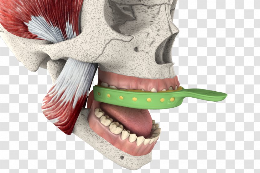 Video Bone Magic Joint Knee - 3d Tooth Transparent PNG
