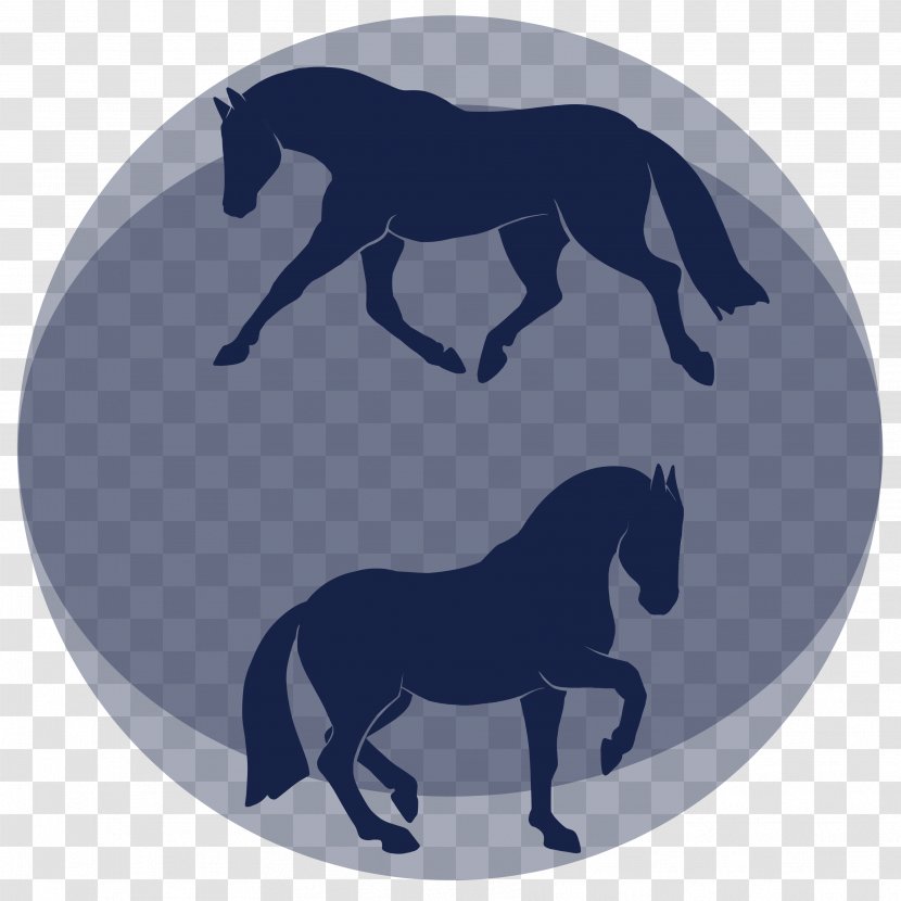 Mustang Hof Ivre Mort Claudia U. Wolfgang Block Equestrian Stallion Pony - Horse Transparent PNG