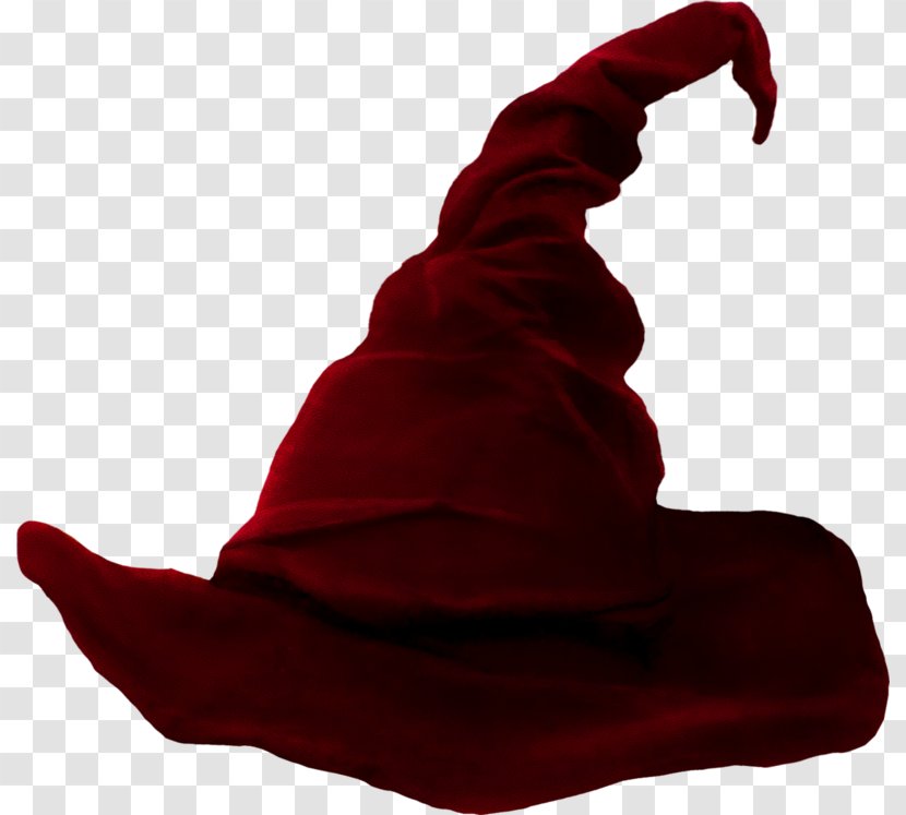 Witch Hat Magician Sombrero - Photography - Halloween Witches Red Transparent PNG
