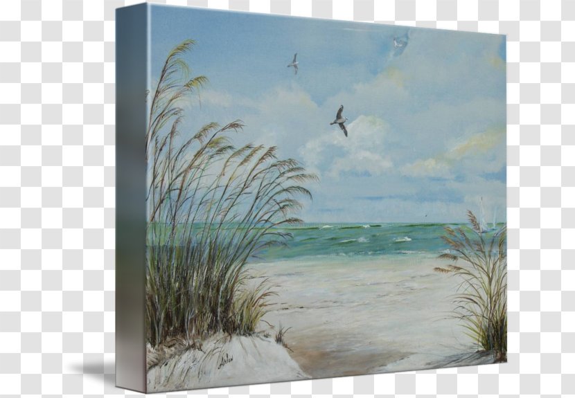 Indian Rocks Beach Painting Picture Frames Gallery Wrap Canvas - Shore Transparent PNG