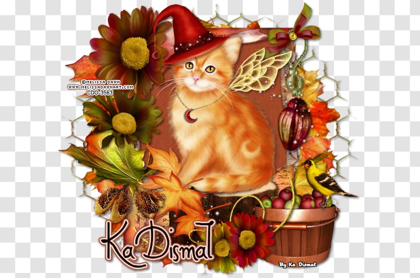 Kitten Cat Web Page Whiskers Christmas Ornament - Diario As Transparent PNG