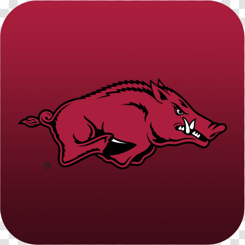 Arkansas Razorbacks Football Bud Walton Arena Feral Pig Southeastern Conference College Hall Of Fame - American Transparent PNG