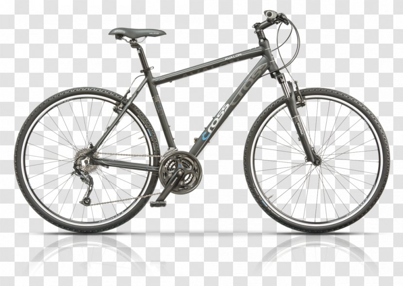 Bicycle Shop Freewheeler Bike Wyckoff Cycle Llc Hybrid Transparent PNG