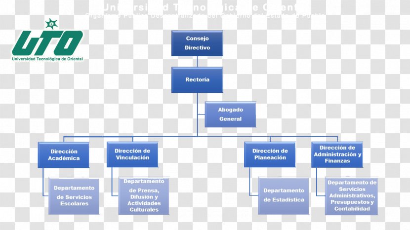 Organizational Chart Institution Technology Education Transparent PNG