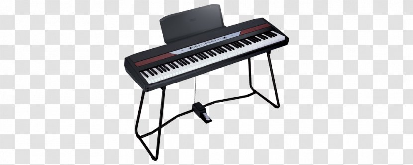 Digital Piano KORG SP-250 Musical Instruments Keyboard - Watercolor Transparent PNG