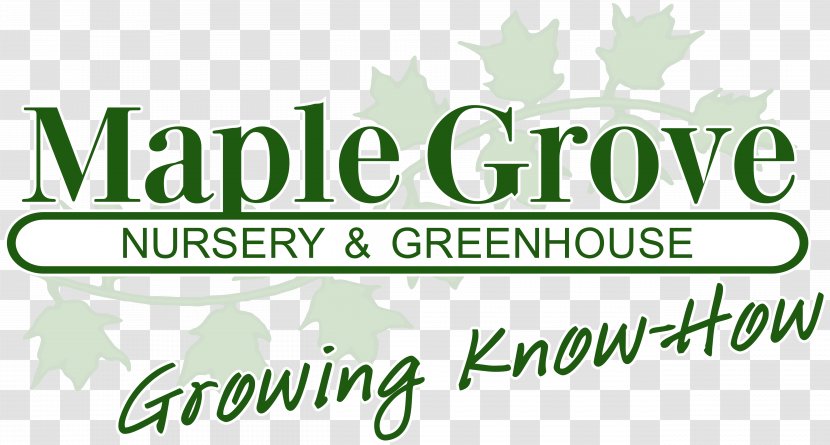 Tree Nursery Maple Grove Soil Plant - Green Transparent PNG