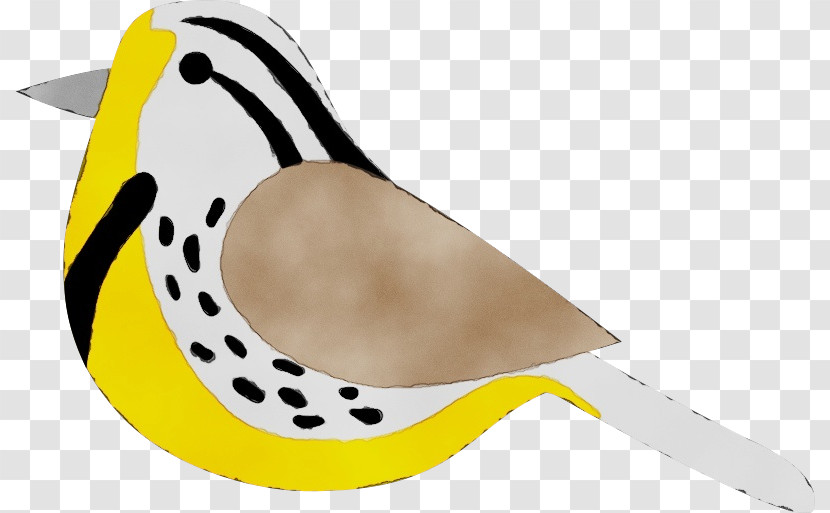 Birds Beak Yellow Pattern Science Transparent PNG