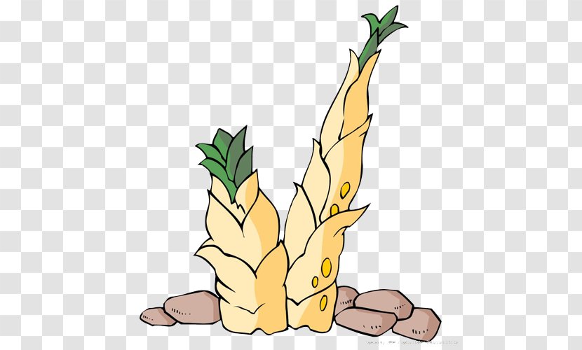 Bamboo Shoot Cartoon Illustration - Painting - Shoots Transparent PNG