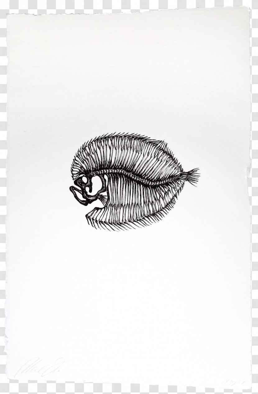 Drawing Silver /m/02csf - Monochrome Photography Transparent PNG