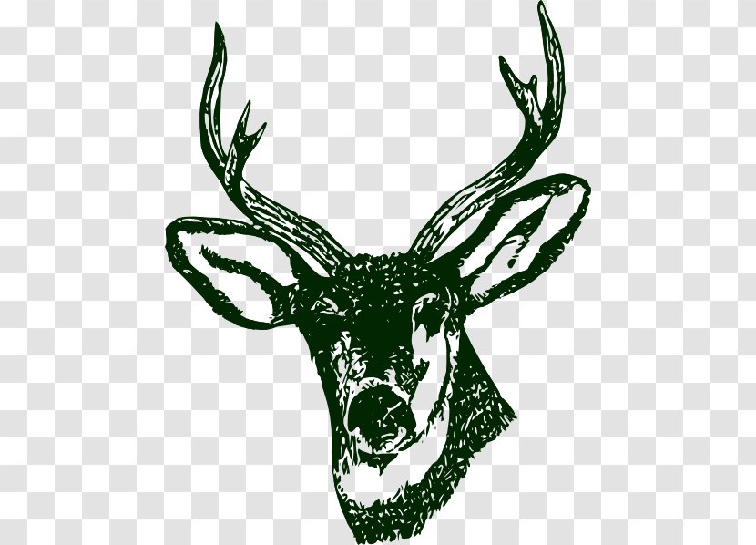 Reindeer Elk Clip Art - Logo - Stag Head Transparent PNG