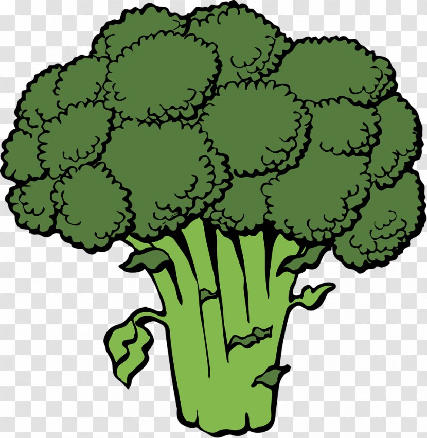 Broccoli Vegetable Clip Art - Grass - Cauliflower Transparent PNG