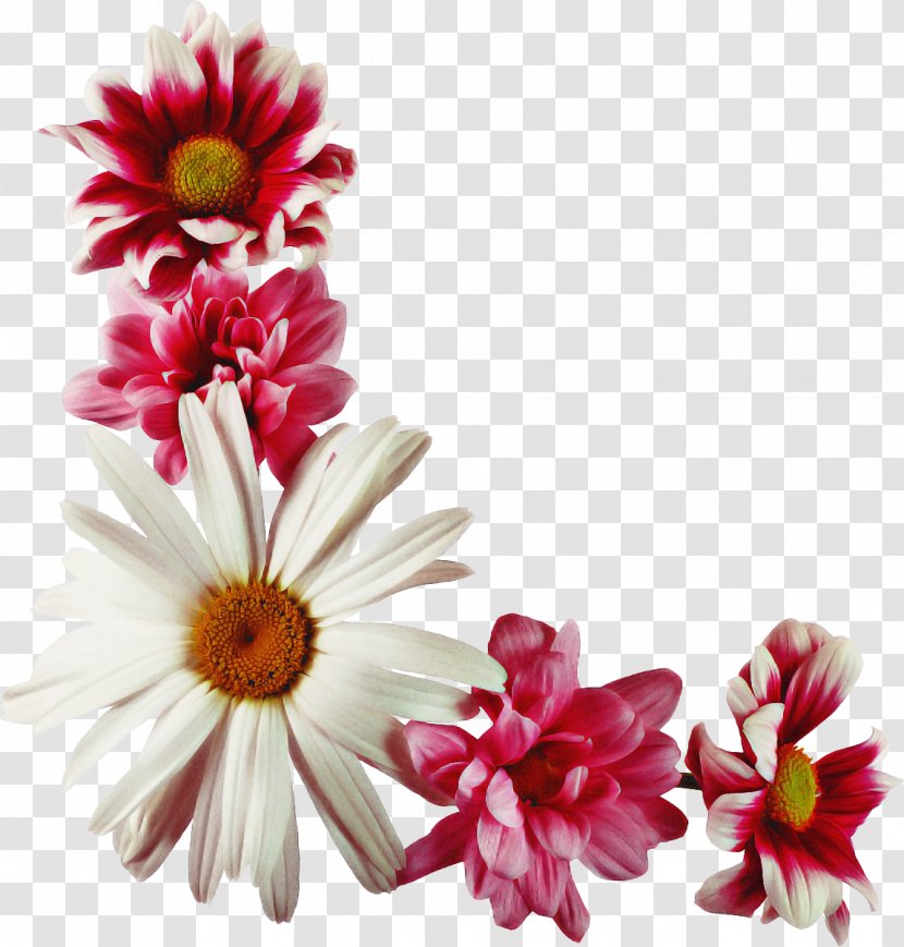 Flowers Background - Cut - Floristry Wildflower Transparent PNG