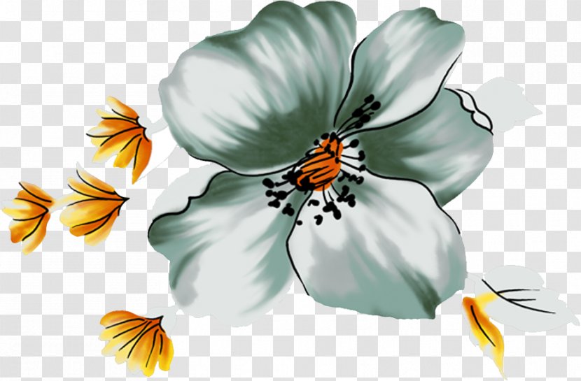 Flower Jasmine Computer File - Jasmin - Lily Transparent PNG
