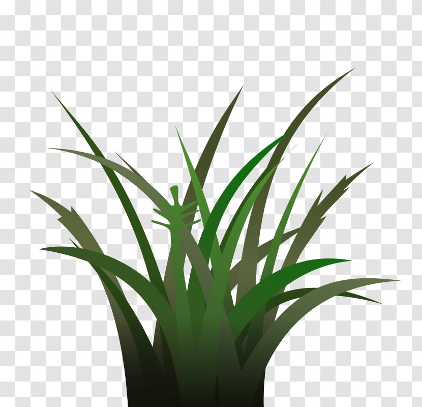 Cartoon Lawn Clip Art - Pictures Of Grass Transparent PNG