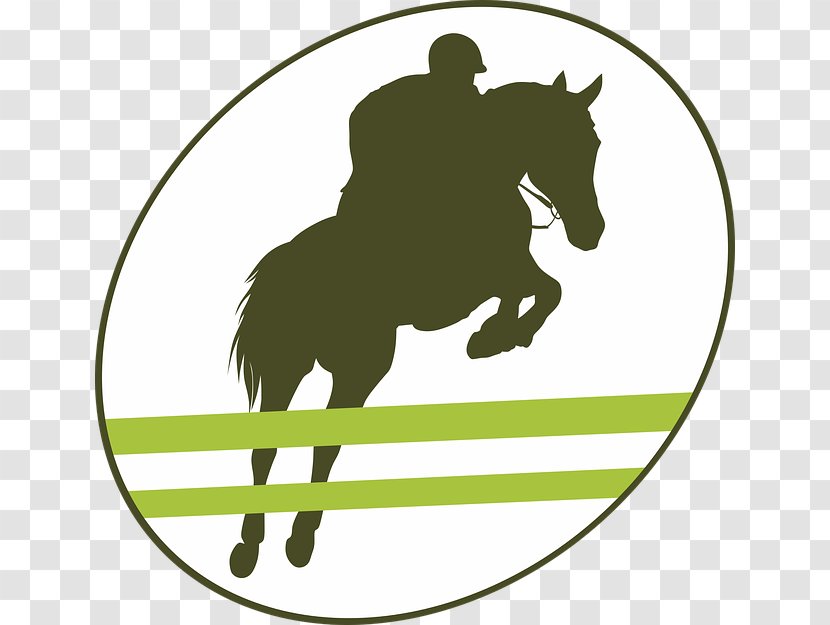 Horse Racing Equestrian Gallop Show Jumping - Logo Transparent PNG