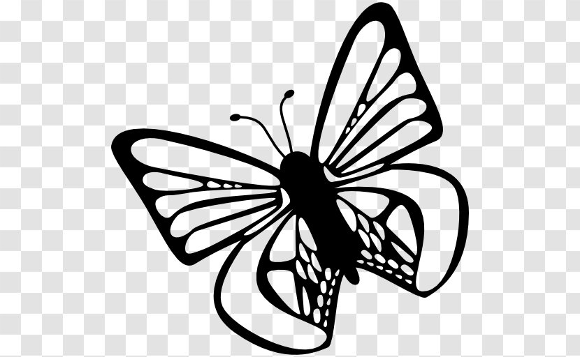 Butterfly Icon Free Icons - Monochrome - Line Art Transparent PNG