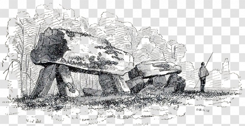 The Modern Antiquarian Coetan Arthur Ireland Plas Newydd Quoit - Tortoise - Archaeologist Transparent PNG